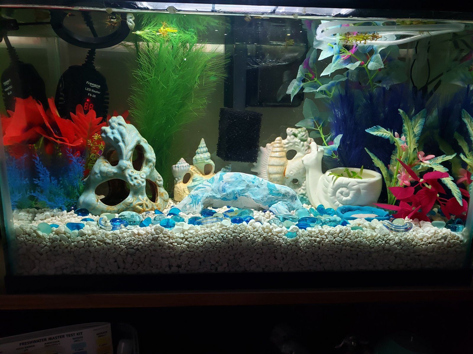 10 gallon full view.jpg