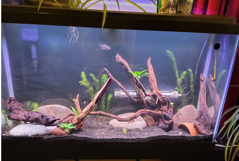 38Gallon_March06_2023.jpg