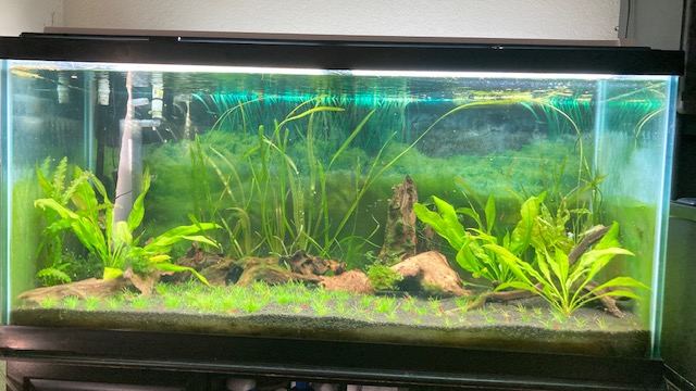 75 g Redo 121424.jpg