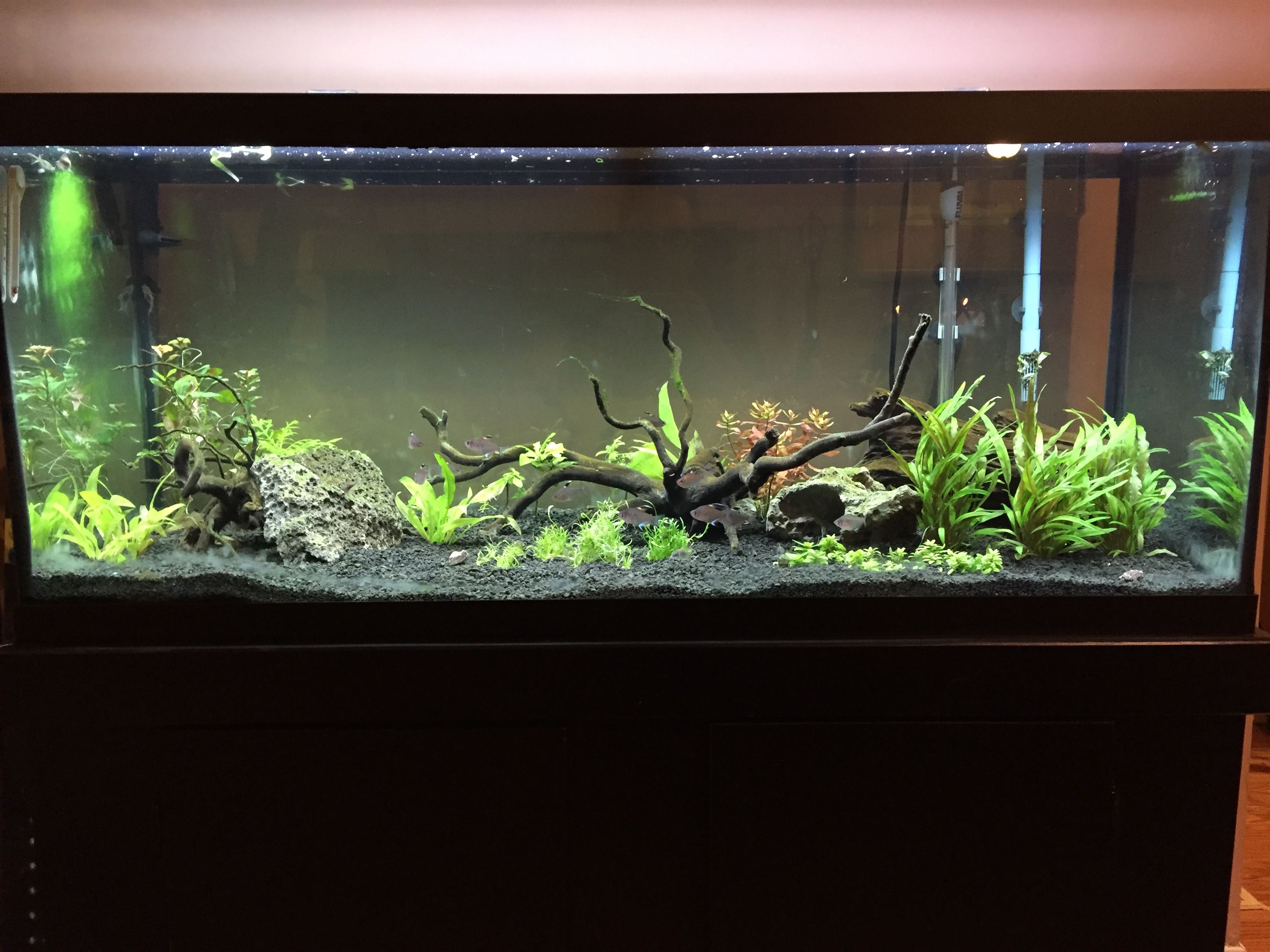 75g1March.JPG