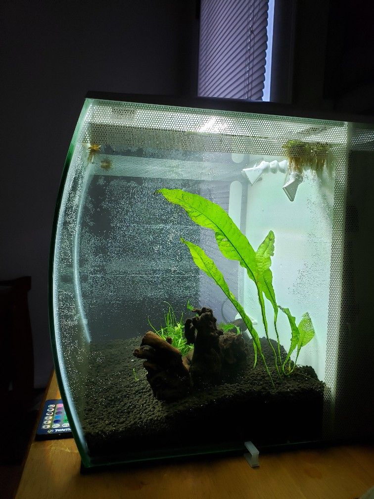 Fluval flex shop 57 stocking