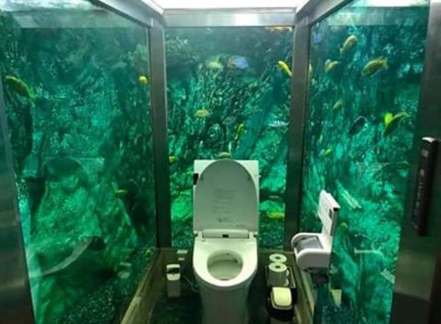 aquariumbathroom.jpg