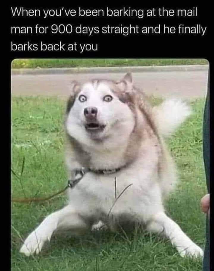 bark.jpg