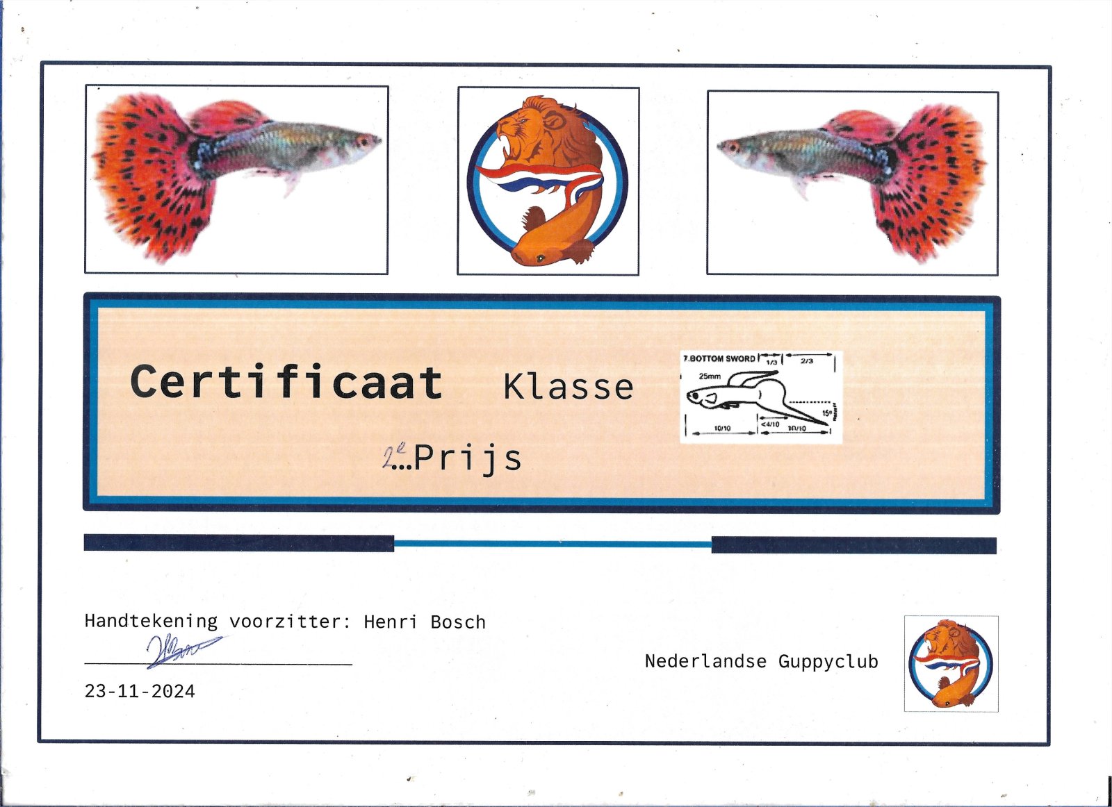 Certificaat lower sword 2nd place.jpg