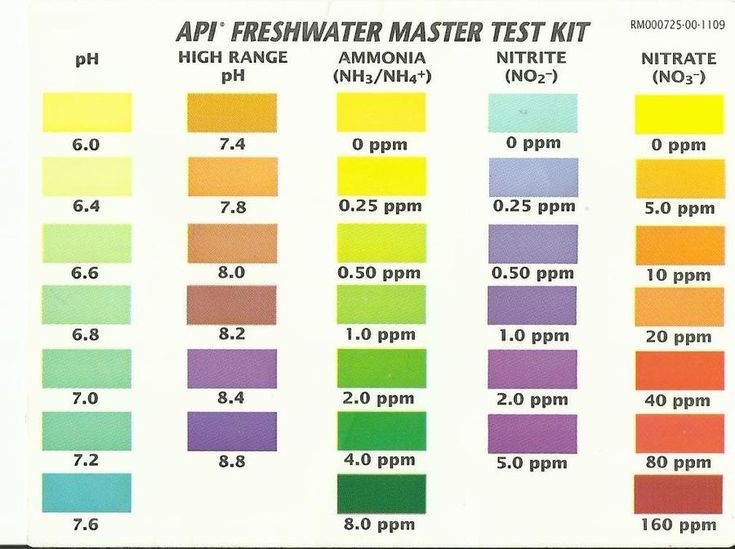 Chart.jpg