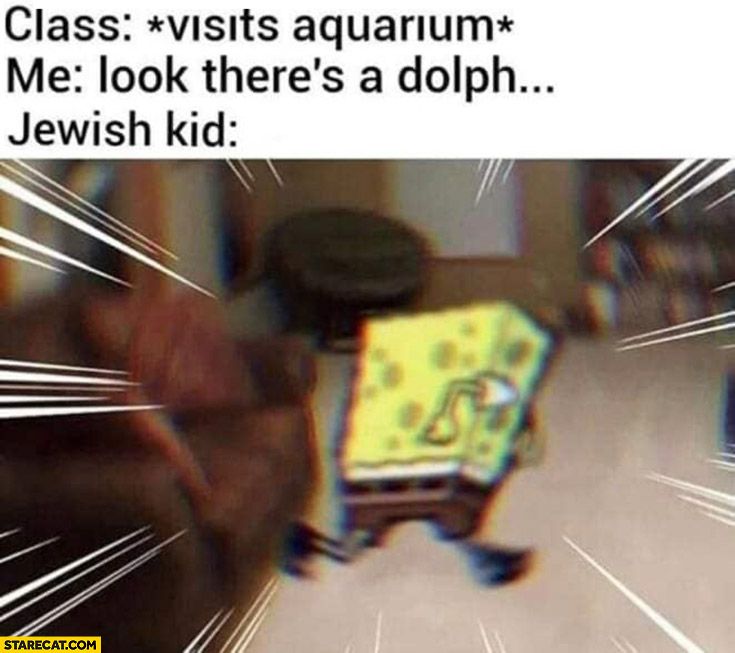 class-visits-aquarium-me-look-theres-a-dolpin-jewish-kid-running-away.jpg