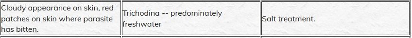 Cloudy appearance on skin, red patches on skin where parasite has bitten.jpg