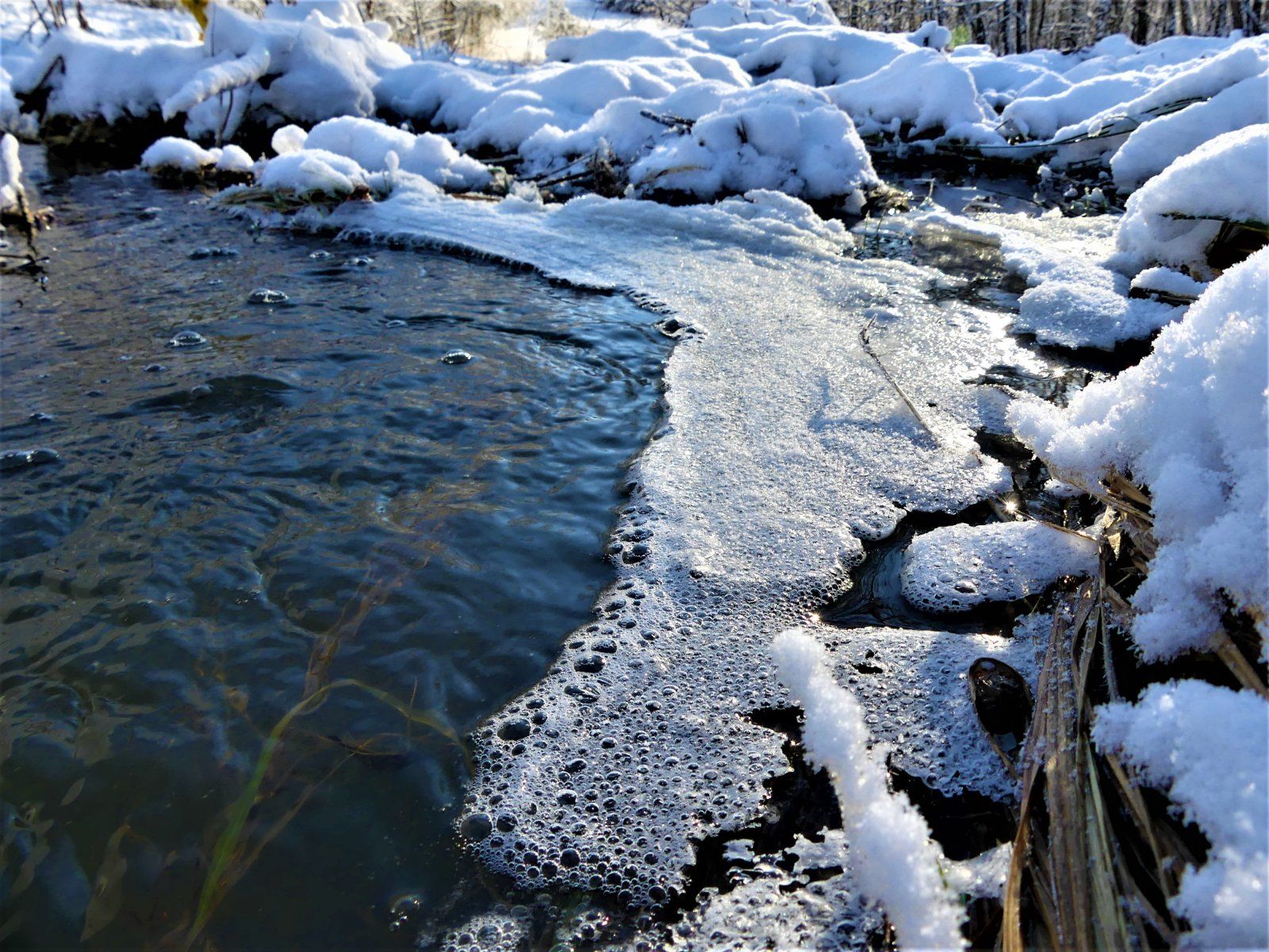 Frozen Bubbles.JPG