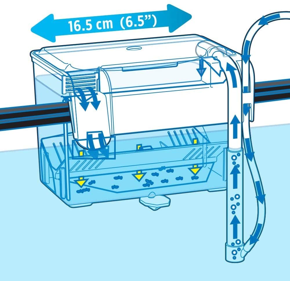 HOBbreederBox!Diagram.jpg