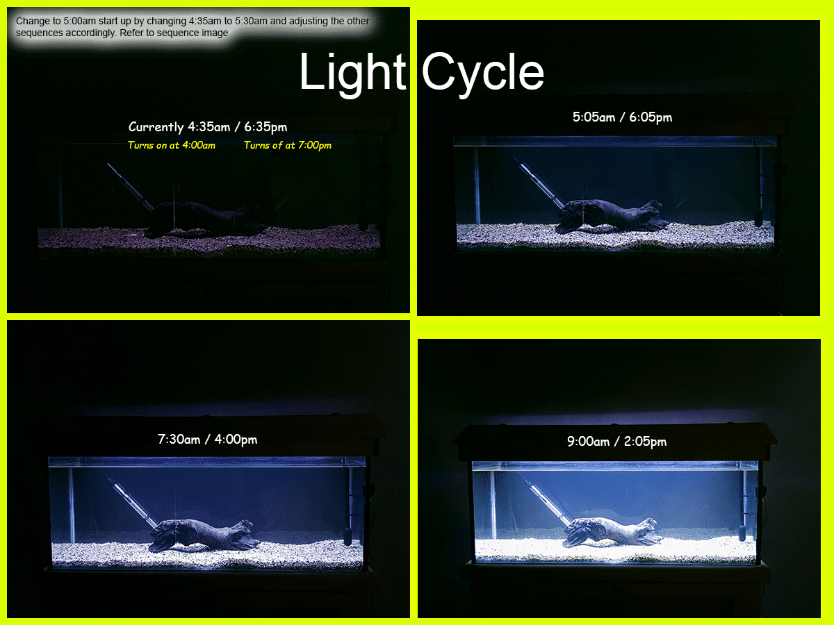 Light Cycle.png