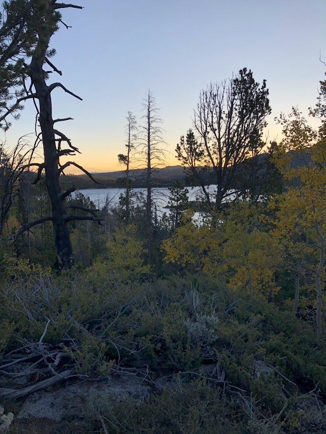 louie lake.jpg