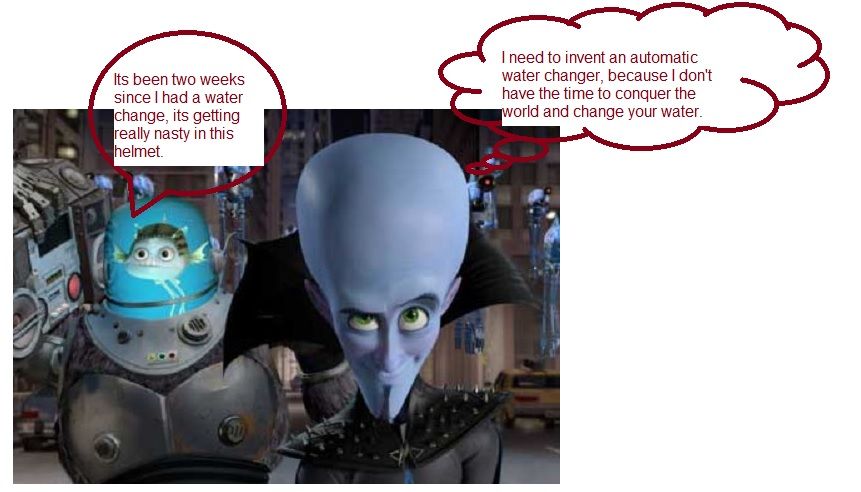 Megamind & Minion.jpg