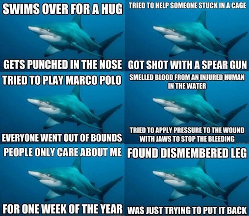 Misunderstood-Sharks.jpg