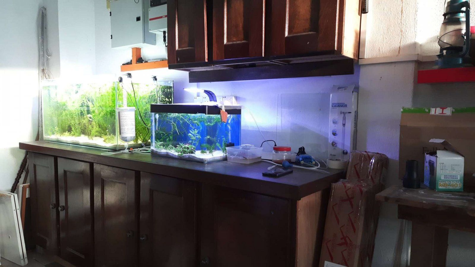 my aquarium area.JPEG