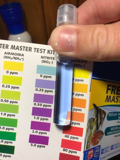 nitrite 5.5.jpg
