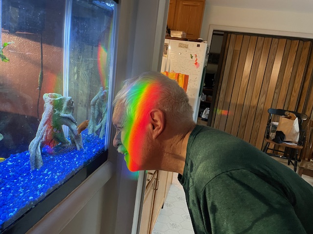 Rainbow on face.JPG