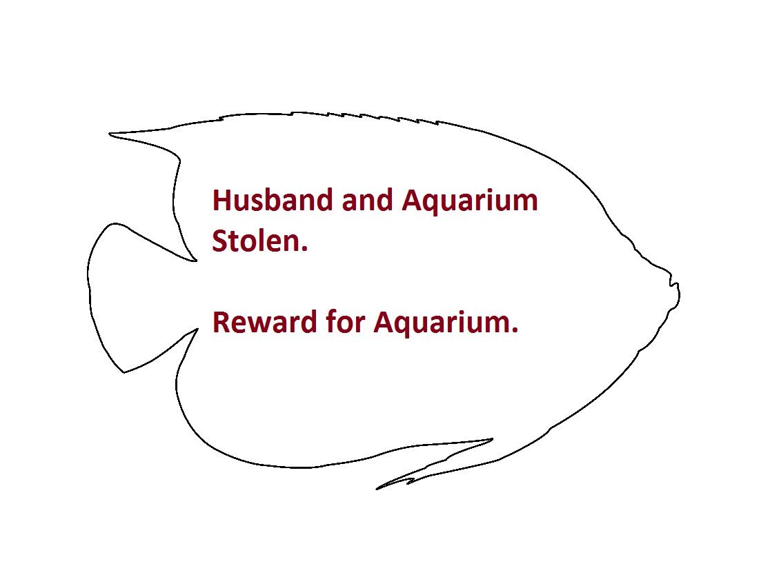 Reward for Aquarium.jpg