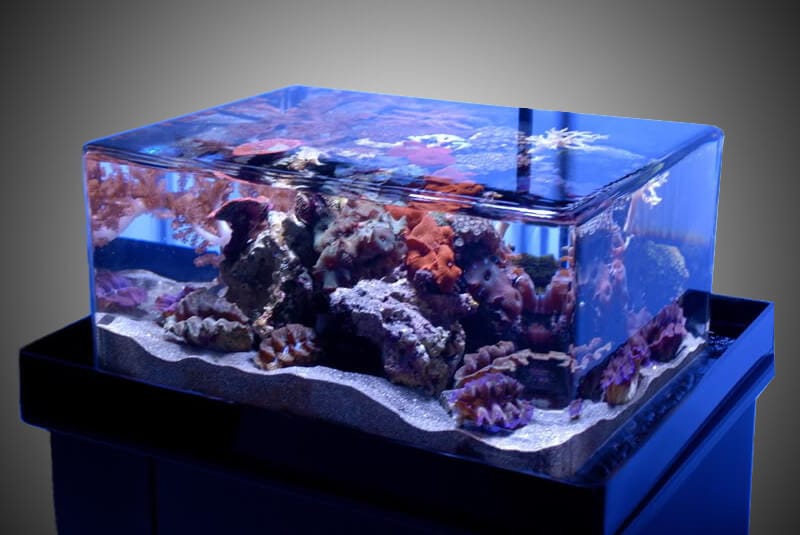 rimless-aquarium.jpg