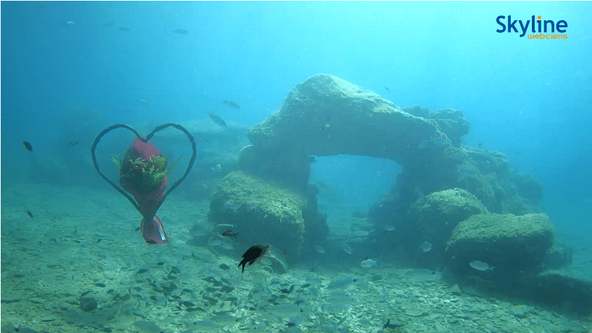 Screenshot 2022-09-17 at 08-48-13 Live Cam Underwater cam in Karavostasi - Crete SkylineWebcams.png
