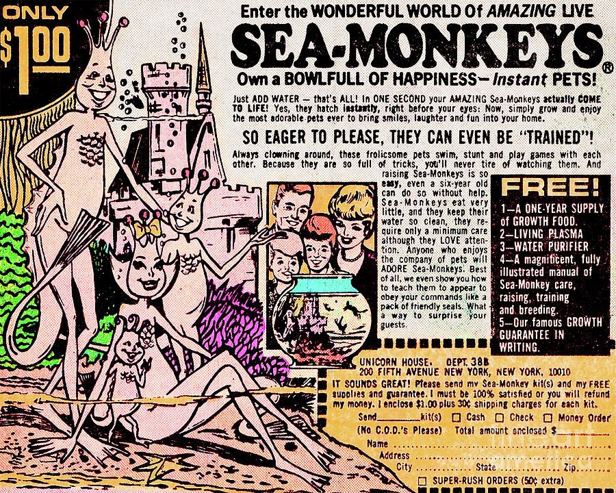 Sea Monkeys.jpg