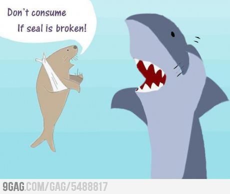 Shark-and-Broken-Seal.jpeg