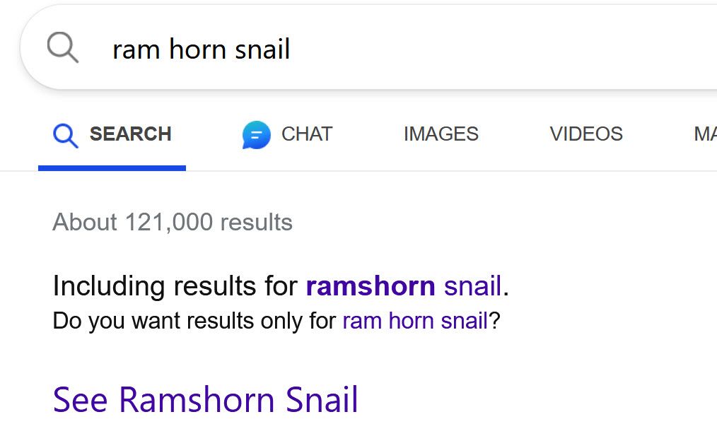 snail.jpg