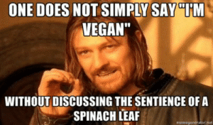 thumb_one-does-not-simply-sayttm-vegan-without-discussing-the-sentience-52700965.png