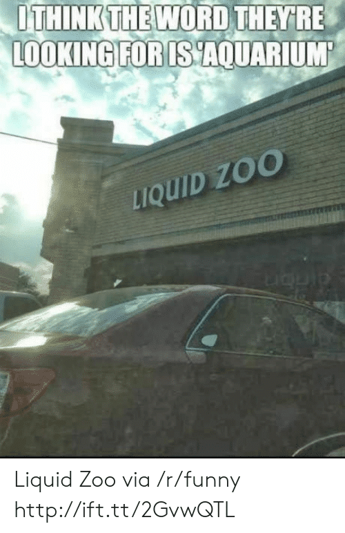 uthinkthe-word-theyfre-lookingforis-aquarium-zoo-liquid-liquid-zoo-via-43339140.png