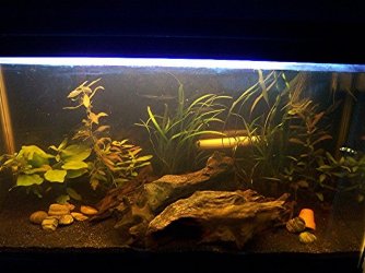 plantedtank1.jpg