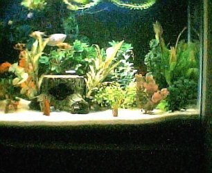 full_tank_view001.jpg