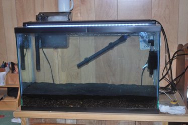 29 gallon tank 11-17-2020.jpg