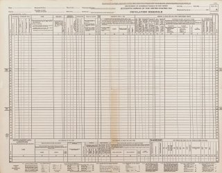 1940 US census form.jpg