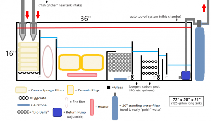 Sump Design 2 (Overflow Line).png