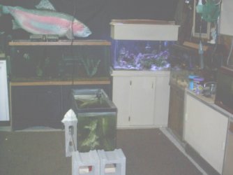 fishroom_004.jpg