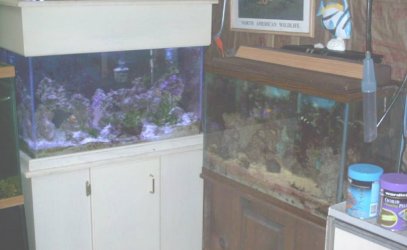 fishroom_005.jpg