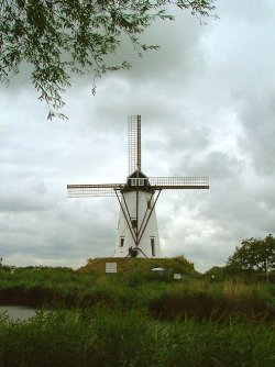 windmill.jpg