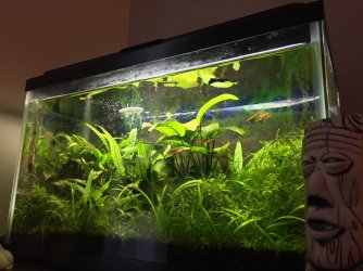 livingroom_tank.jpg