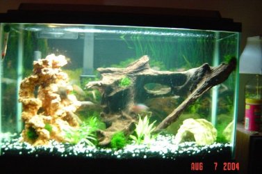 30gal.JPG