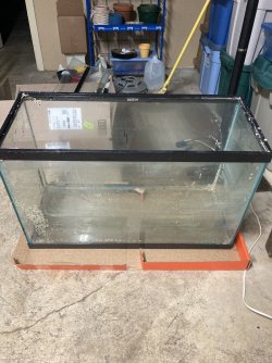 20 Gallon.jpg