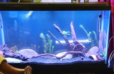 38Gallon_March2023.jpg