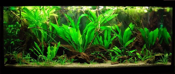 70g Feb 14-16.JPG