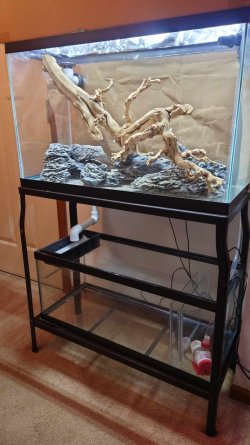 First Sump setup.jpg