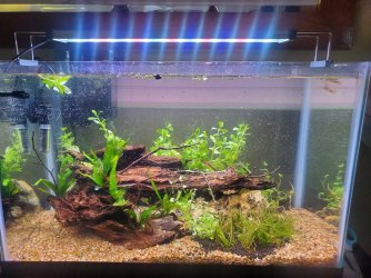 10gallon-2.jpg