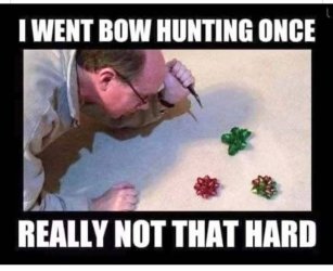 bows.jpg