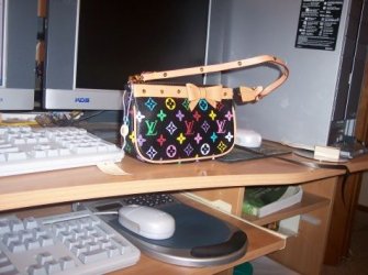 purse2.JPG