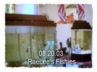 08.20.03_RaeLee_s_Fishies.JPG