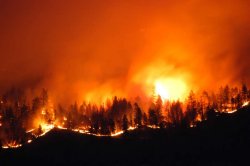 OkanaganMtnFire3.jpg