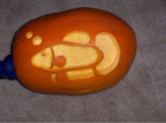 pumpkinfish2.jpg