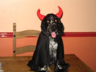 devil_dog.jpg