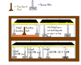 discus_plans2.JPG